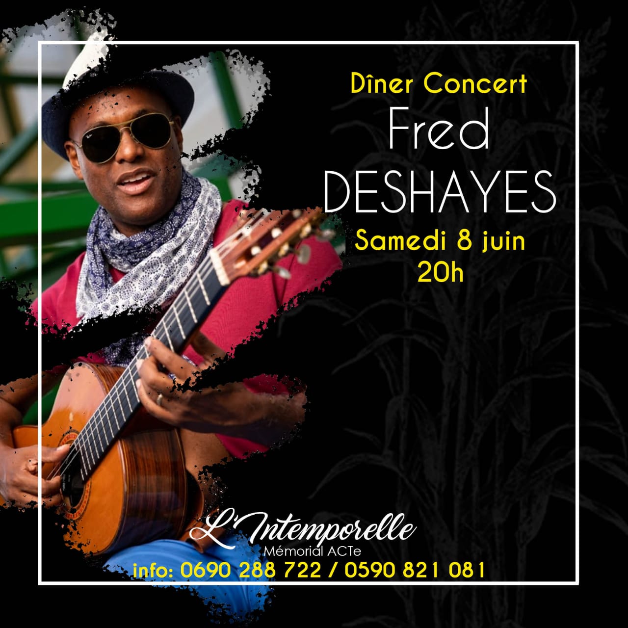 Fred à l intemporelle