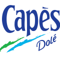 Logo cape s dole